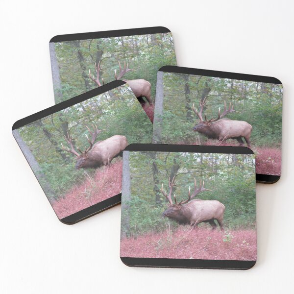 Item preview, Benezette Bull Elk  designed and sold by Broken Antler Designs .