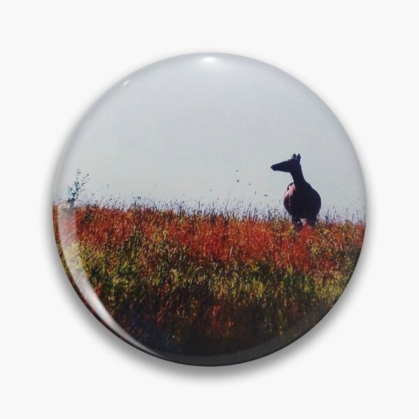 Item preview, Cow Elk at Sunset  designed and sold by Broken Antler Designs .