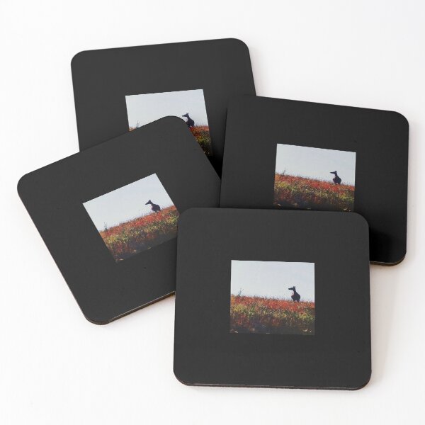 Item preview, Cow Elk at Sunset  designed and sold by Broken Antler Designs .