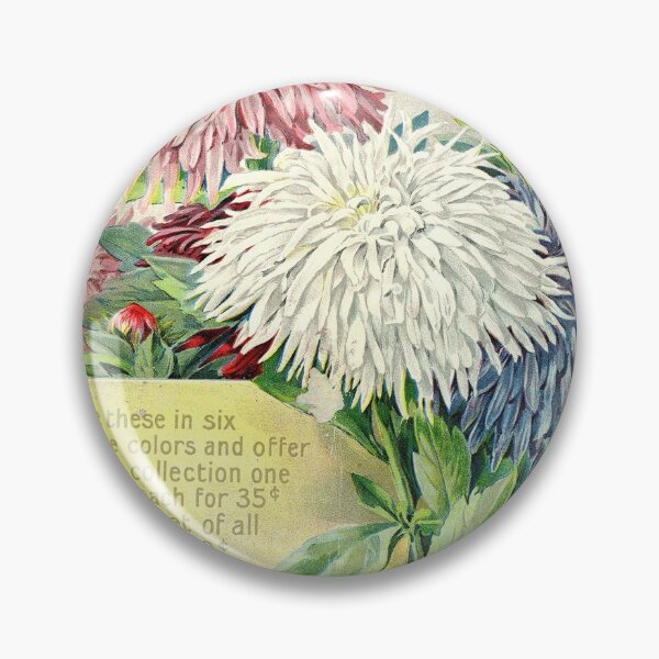 Item preview, Giant comet aster - Rawson  1899 designed and sold by killies.