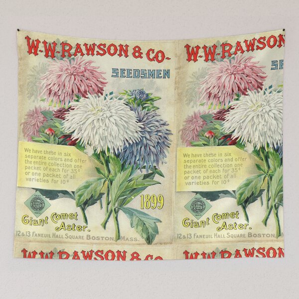 Item preview, Giant comet aster - Rawson  1899 designed and sold by killies.