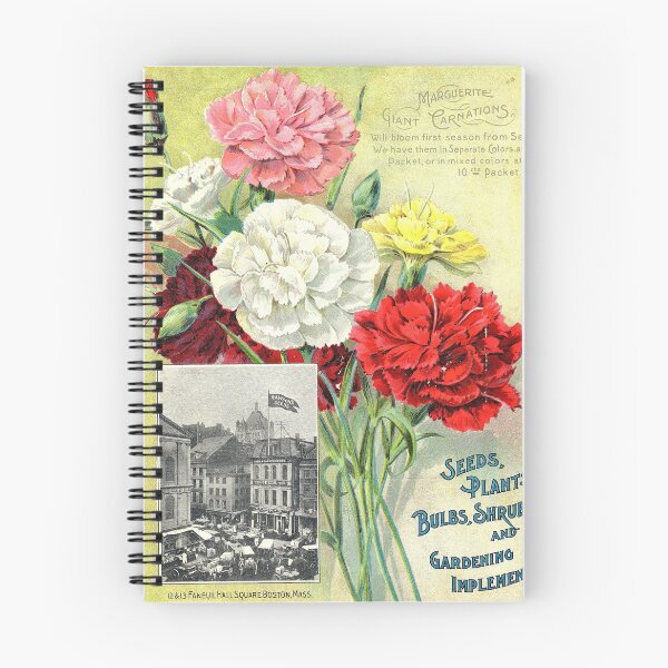Item preview, Carnations - Rawson  1899 designed and sold by killies.