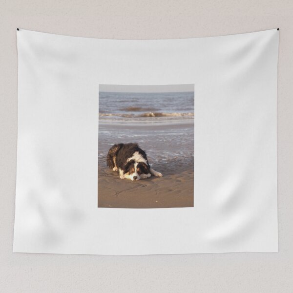 Item preview, Laddie of the beach. designed and sold by Michael Haslam.