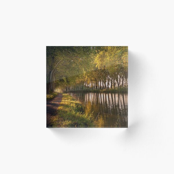 Artikelvorschau, Morgenlicht am Canal du Midi entworfen und verkauft von Bruce Alexander.