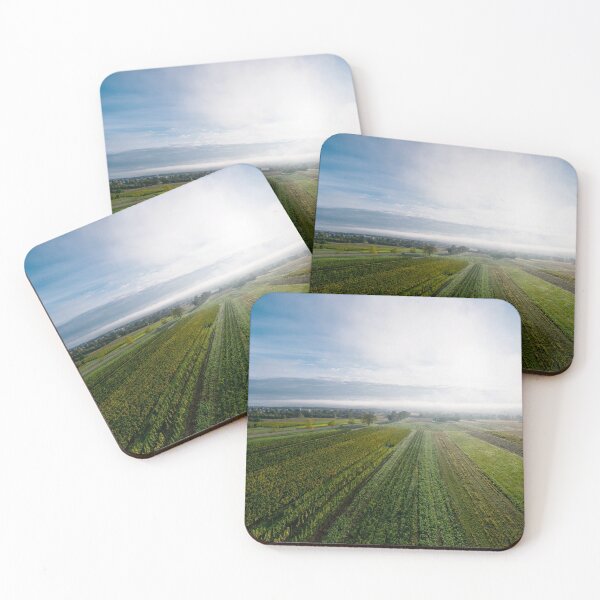 Item preview, A drone panoramic view of the stunning expanse of the Vosges foothills. Autumn vineyards in the morning fog. France designed and sold by Alexander Sorokopud.