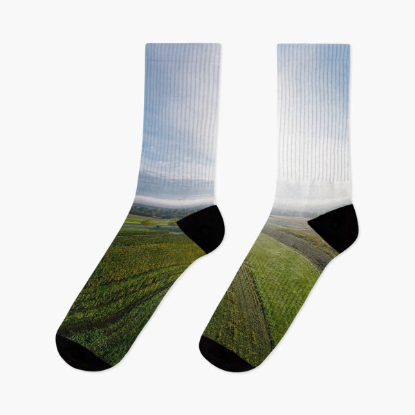 Item preview, A drone panoramic view of the stunning expanse of the Vosges foothills. Autumn vineyards in the morning fog. France designed and sold by Alexander Sorokopud.