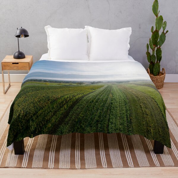 Item preview, A drone panoramic view of the stunning expanse of the Vosges foothills. Autumn vineyards in the morning fog. France designed and sold by Alexander Sorokopud.