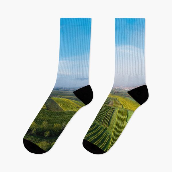 Item preview, A drone panoramic view of the stunning expanse of the Vosges foothills. Autumn vineyards in the morning fog. France designed and sold by Alexander Sorokopud.