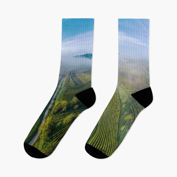 Item preview, A drone panoramic view of the stunning expanse of the Vosges foothills. Autumn vineyards in the morning fog. France designed and sold by Alexander Sorokopud.