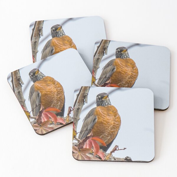 Item preview, American Red Robin designed and sold by May Finch.