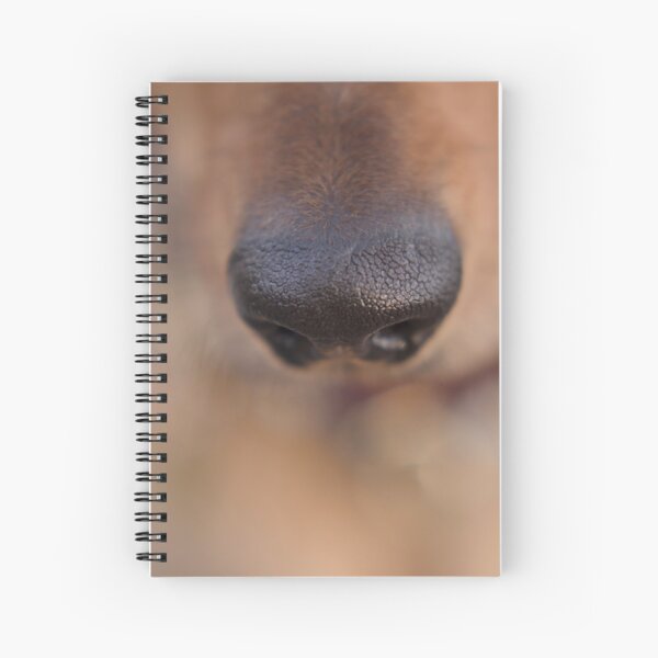 Curious nose Spiral Notebook