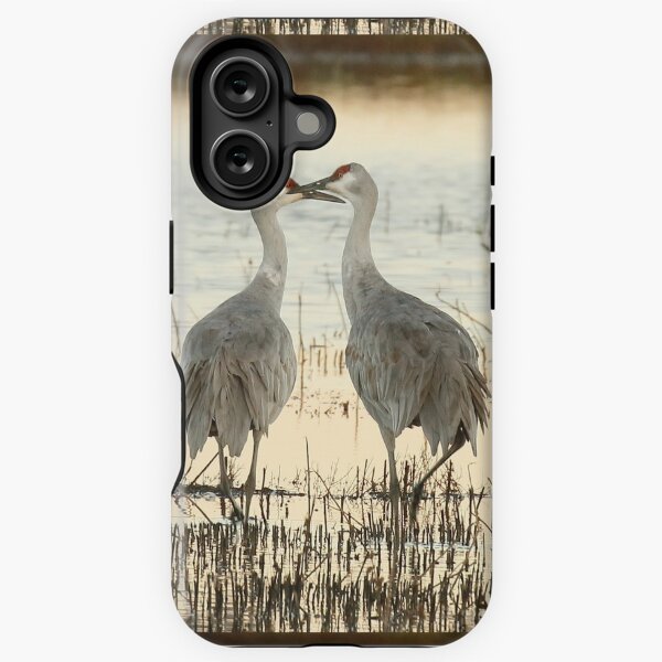 Item preview, Sandhill Crane pair designed and sold by eyes4nature.