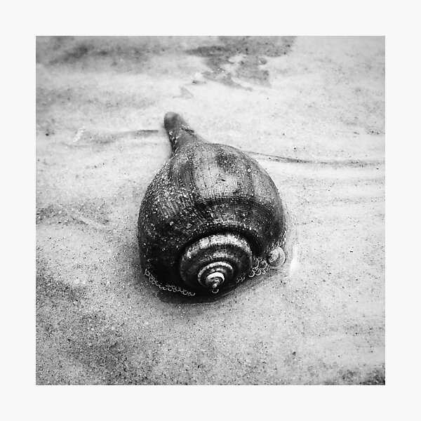 My Own Little World Photographic Print