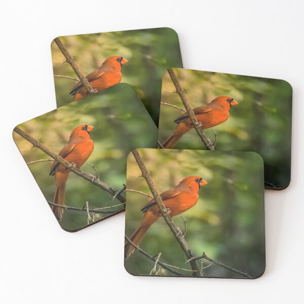 Item preview, Red Cardinal designed and sold by May Finch.