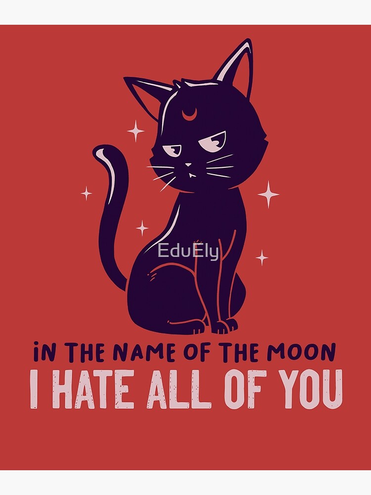 In The Name Of The Moon Funny Cute Cat In The Name Of The Moon Funny Cute Cat