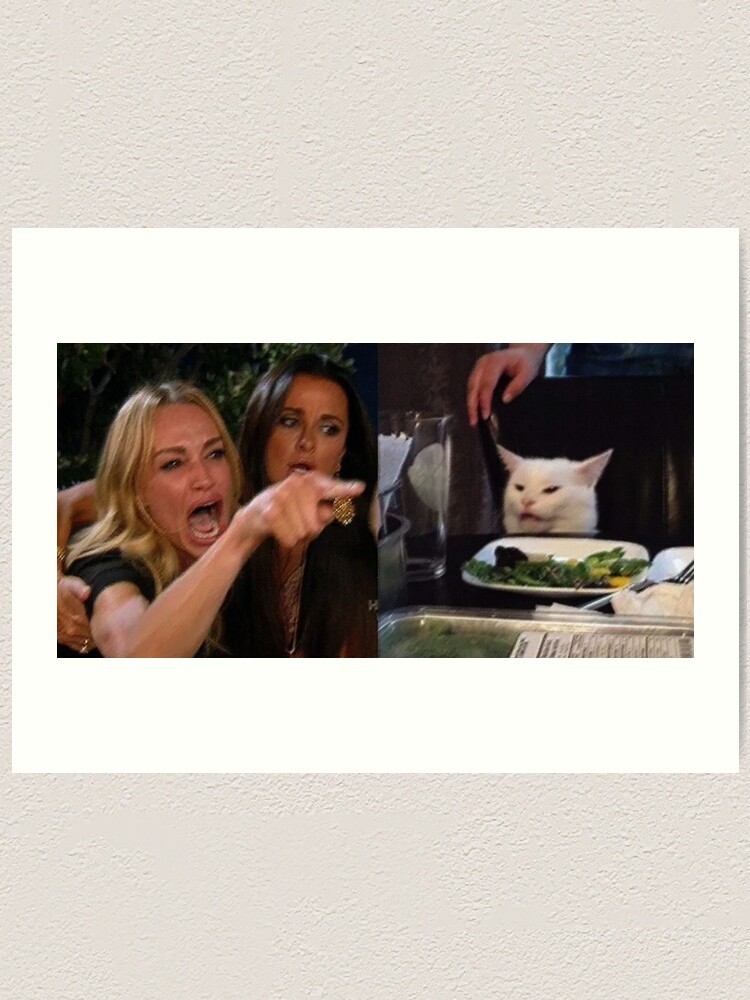 Woman Yelling at Cat: Salad Cat Meme Icon 