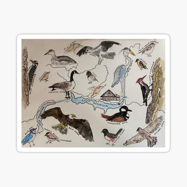Item preview, Swift Lake birds designed and sold by syljen.