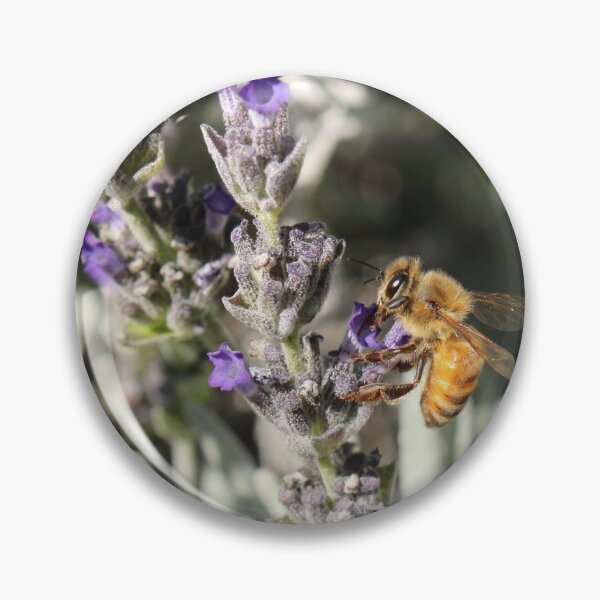 Item preview, Loving the Lavender designed and sold by eyes4nature.