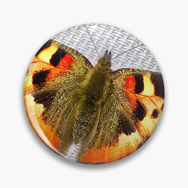 Item preview, Butterfly sunning itself  designed and sold by capnchaos.