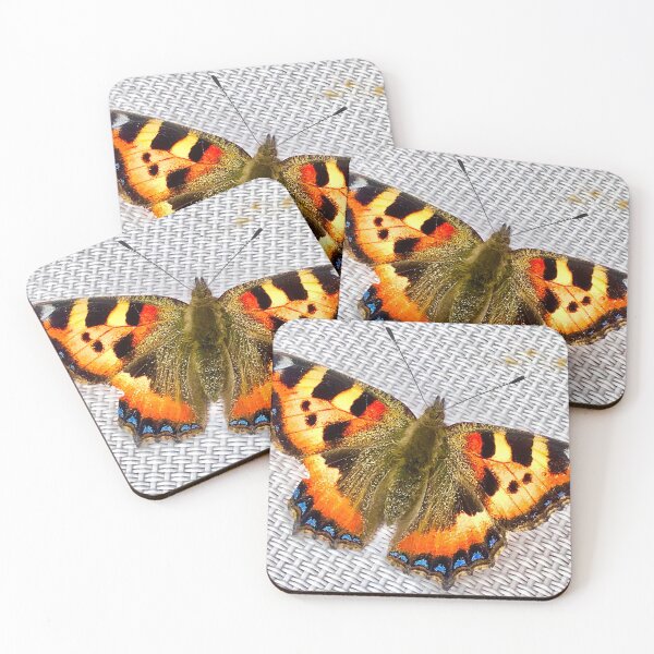 Item preview, Butterfly sunning itself  designed and sold by capnchaos.