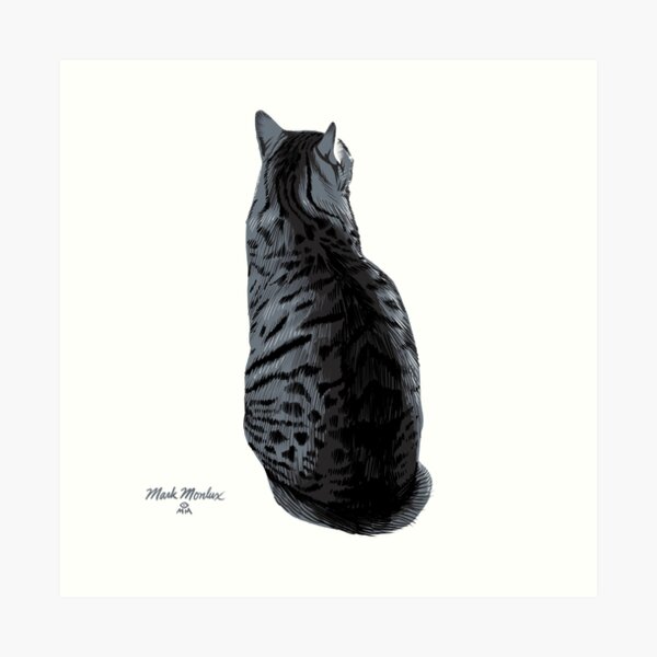 Cat #12 - Max Art Print