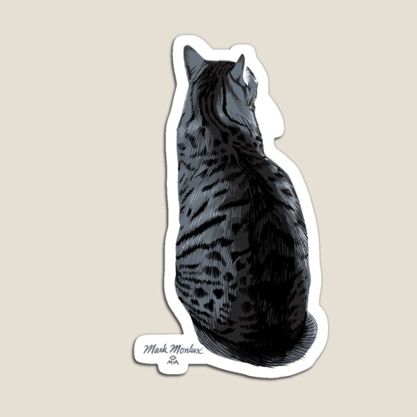 Cat #12 - Max Magnet
