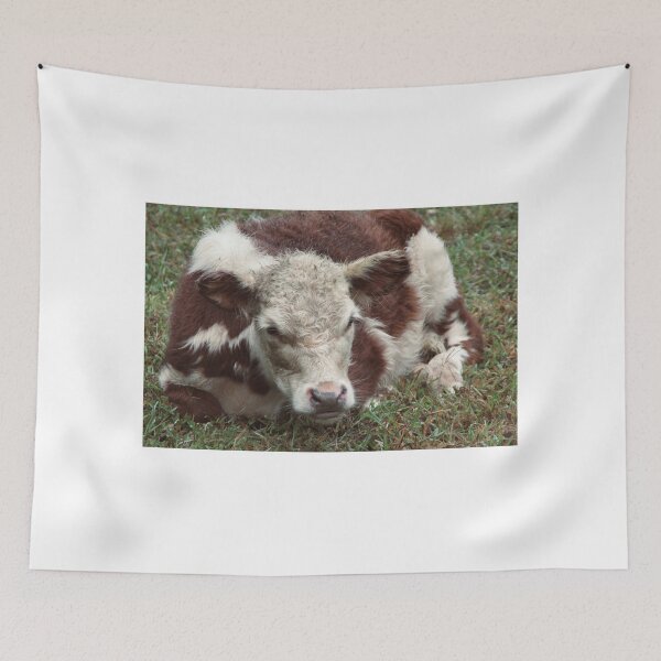 Item preview, Cow relaxing after playing in the rain designed and sold by Shockzedits.