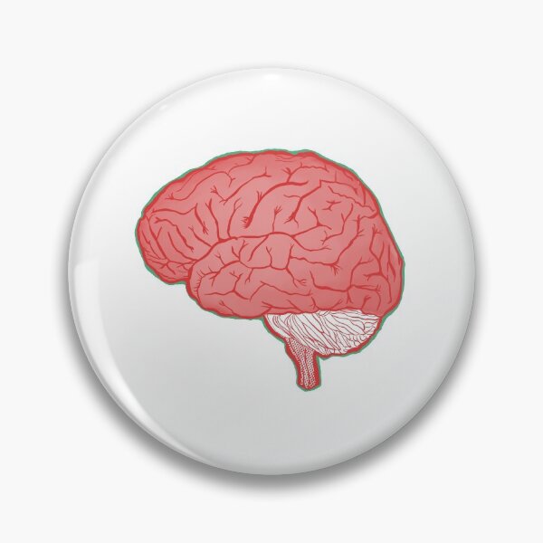 Item preview, Brain Anatomical designed and sold by amsaatucsd.