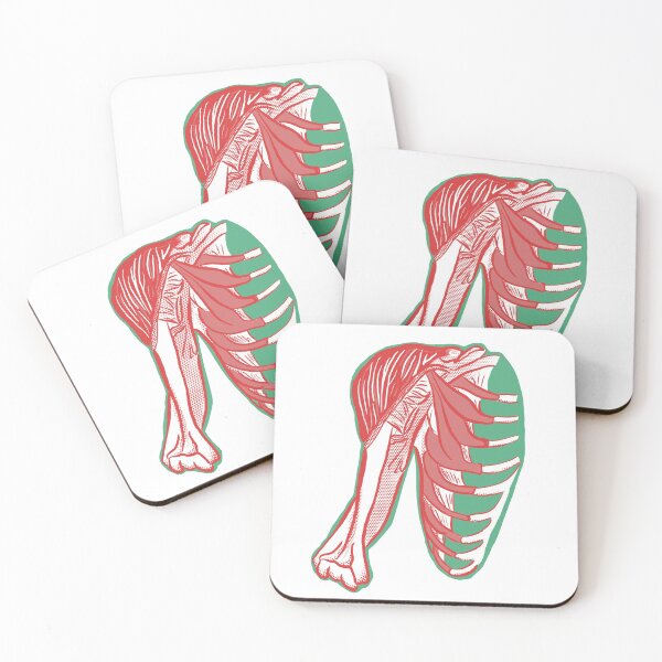 Item preview, Skeletal Anatomical designed and sold by amsaatucsd.