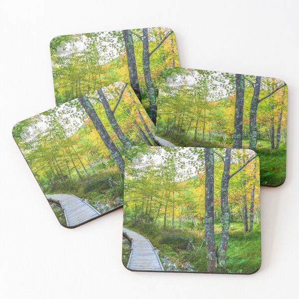Item preview, Acadia National Park Trail designed and sold by JasperBenoit.