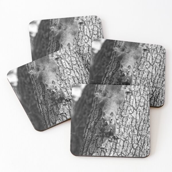 Item preview, Squirrel Life, Mine designed and sold by mfsphotographs.