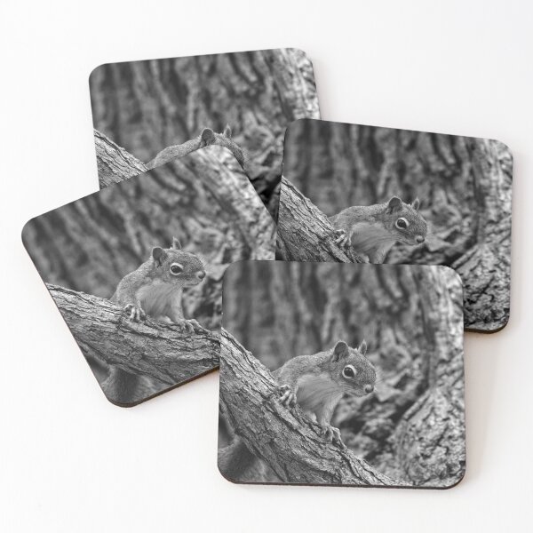 Item preview, Sqirrel Life, Curiosity designed and sold by mfsphotographs.