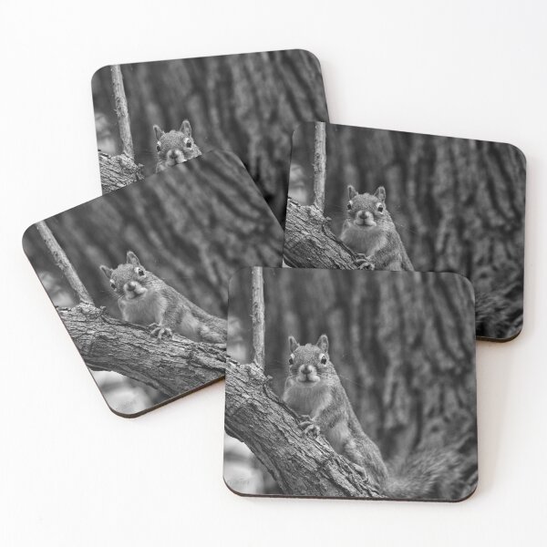 Item preview, Squirrel Life, Awareness designed and sold by mfsphotographs.