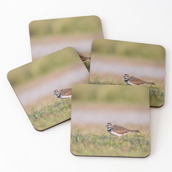 Item preview, Killdeer designed and sold by suburbanwilds.