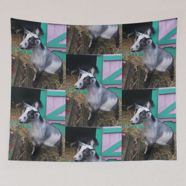 Item preview, Baby Goat, Kid on a Ramp designed and sold by NathanMoore92.