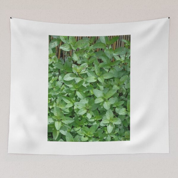 Item preview, go green designed and sold by BigAndRed.