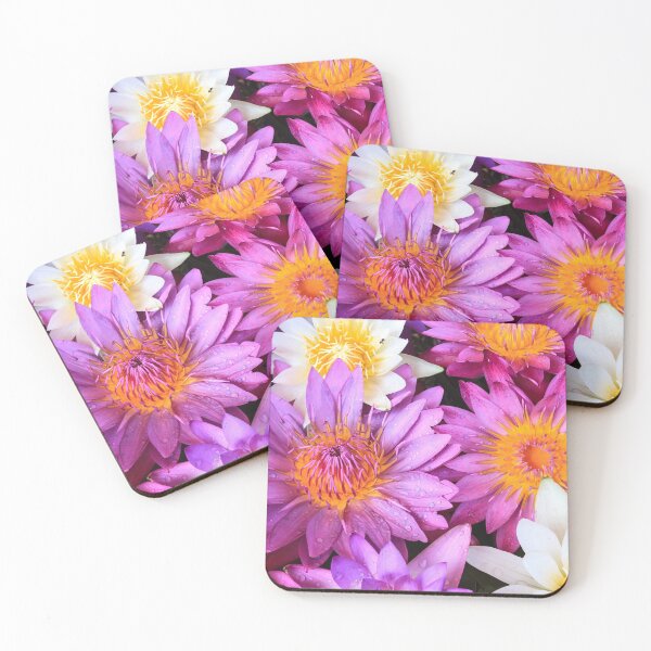 Item preview, Purple and white water lily flowers designed and sold by Kevin Hellon.