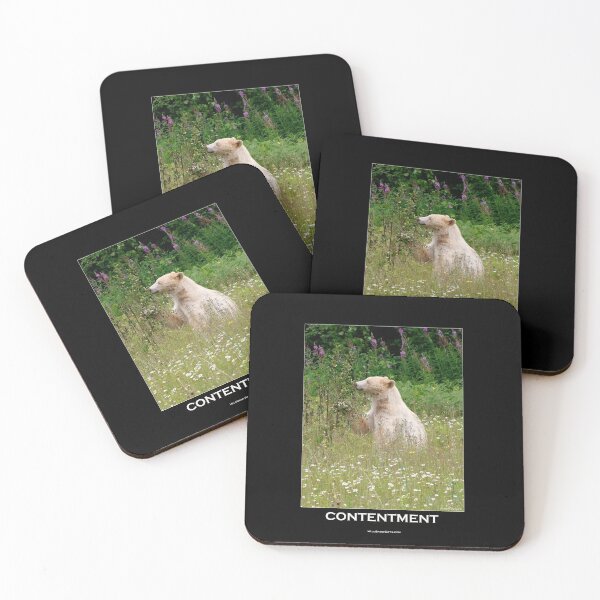 Item preview, Contentment Spirit Bear Motivational Poster designed and sold by NaturePrints.