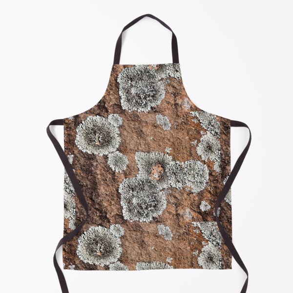 Item preview, Kanyaka - Rock with Lichen designed and sold by Carole-Anne.