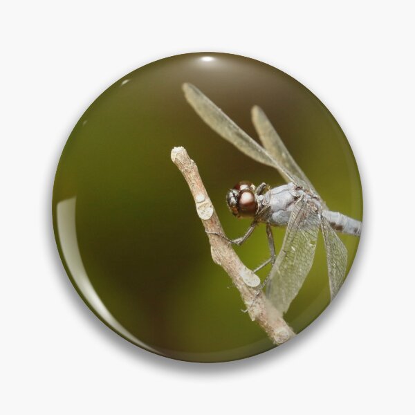 Item preview, Winged blue dragon designed and sold by eyes4nature.