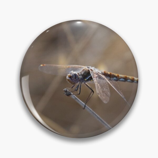 Artikelvorschau, Schimmernder Freund entworfen und verkauft von eyes4nature.