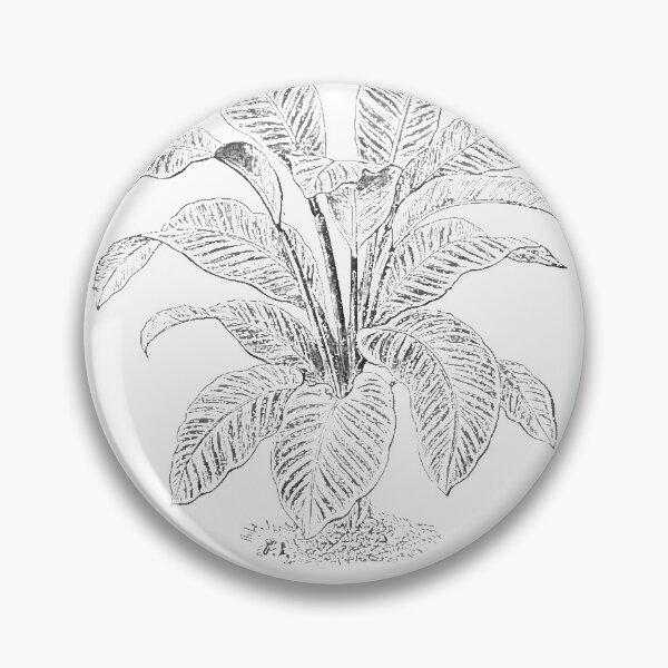 Item preview, Calathea Zebrina Plant designed and sold by TheBearandBunny.