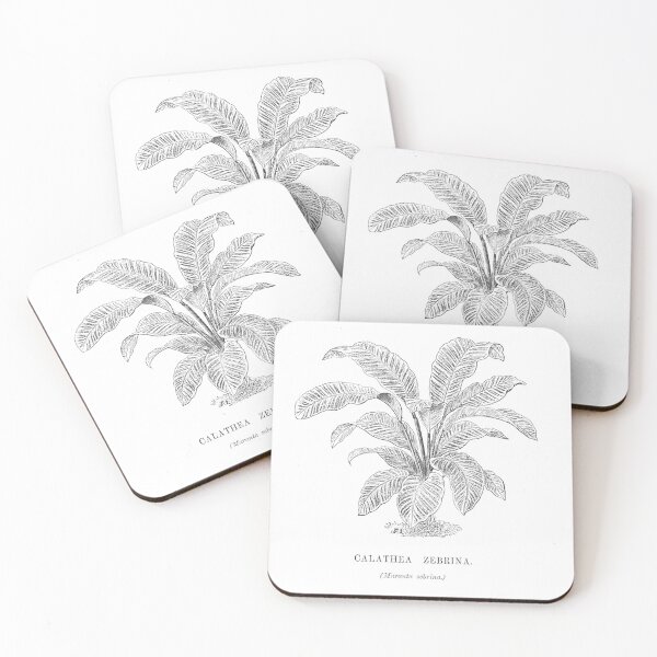 Item preview, Calathea Zebrina Plant designed and sold by TheBearandBunny.