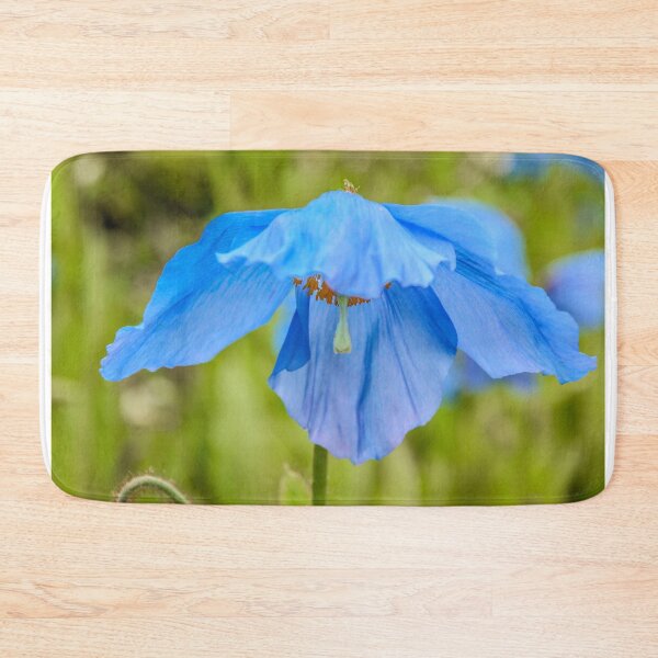 Item preview, Blue Poppy, Edinburgh Botanical Gardins, Scotland designed and sold by Beth A.  Richardson.
