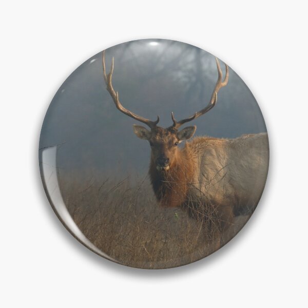 Item preview, Tule Elk in Meadow designed and sold by eyes4nature.