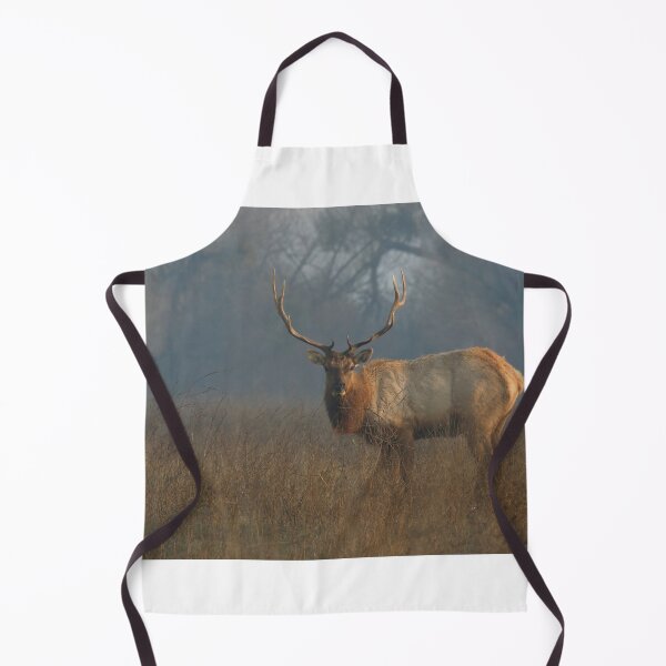 Item preview, Tule Elk in Meadow designed and sold by eyes4nature.