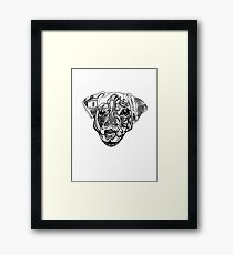 Nure- the dog Framed Print