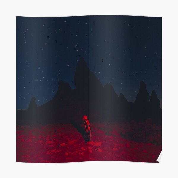 Couverture de l'album Punisher de Phoebe Bridgers Poster