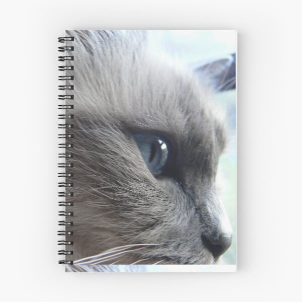 Item preview, Ragdoll Cat. designed and sold by CaileeJo.