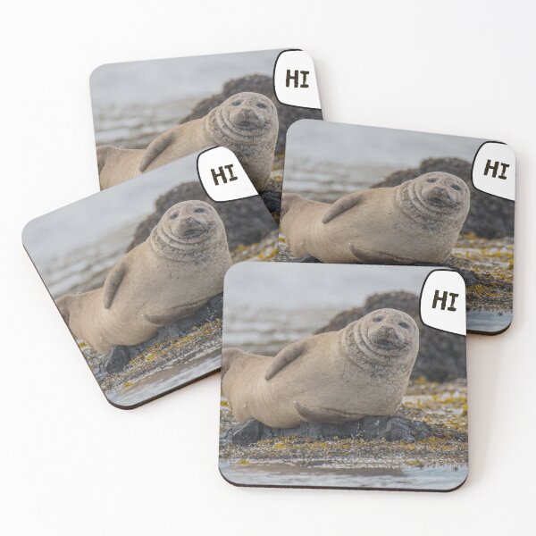 Item preview, seal of disapproval Hi Bro Funny Seal designed and sold by RUCZENO.